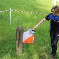 Varie 2014