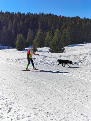 Coppa Italia Sprint - Campionato Italiano Long Sci-O