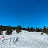 Coppa Italia Sprint - Campionato Italiano Long Sci-O
