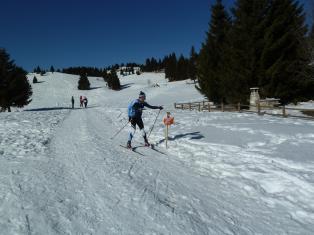 Coppa Italia Sprint - Campionato Italiano Long Sci-O