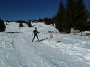 Coppa Italia Sprint - Campionato Italiano Long Sci-O