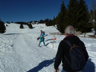 Coppa Italia Sprint - Campionato Italiano Long Sci-O