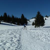 Coppa Italia Sprint - Campionato Italiano Long Sci-O