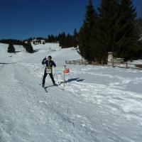 Coppa Italia Sprint - Campionato Italiano Long Sci-O