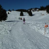 Coppa Italia Sprint - Campionato Italiano Long Sci-O