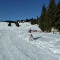 Coppa Italia Sprint - Campionato Italiano Long Sci-O