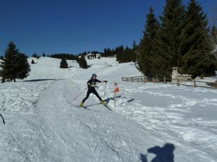 Coppa Italia Sprint - Campionato Italiano Long Sci-O