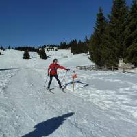 Coppa Italia Sprint - Campionato Italiano Long Sci-O