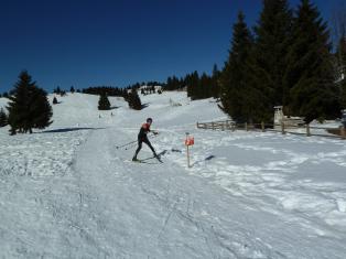 Coppa Italia Sprint - Campionato Italiano Long Sci-O