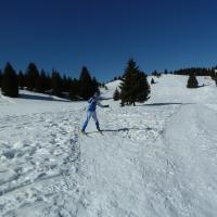 Coppa Italia Sprint - Campionato Italiano Long Sci-O