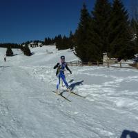 Coppa Italia Sprint - Campionato Italiano Long Sci-O