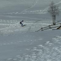 Coppa Italia Sprint - Campionato Italiano Long Sci-O