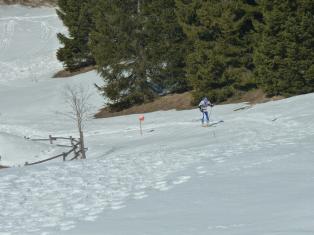 Coppa Italia Sprint - Campionato Italiano Long Sci-O