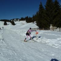 Coppa Italia Sprint - Campionato Italiano Long Sci-O