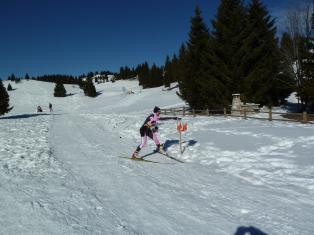 Coppa Italia Sprint - Campionato Italiano Long Sci-O