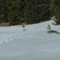 Coppa Italia Sprint - Campionato Italiano Long Sci-O