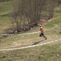Coppa Italia Sprint - Campionato Italiano Middle CO