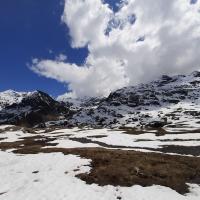 Campionato Italiano Sprint Relay -  Coppa Italia Middle - Campionato Italiano Long CO