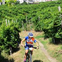 Coppa Italia Long e Middle MTBO
