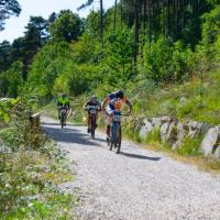Coppa Italia Long MTBO