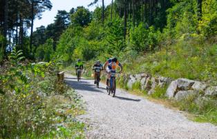 Coppa Italia Long MTBO