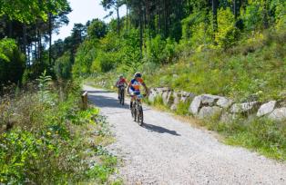 Coppa Italia Long MTBO