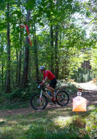 Coppa Italia Long MTBO