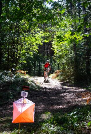 Coppa Italia Long MTBO