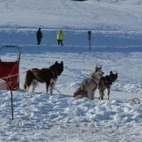 Sci-O Sprint Folgaria Passo Coe