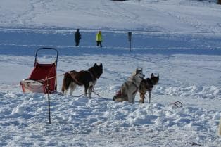 Sci-O Sprint Folgaria Passo Coe